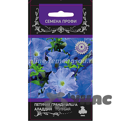 Петуния Аладдин Синяя гранд. Поиск Ц