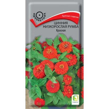 Циния Румба Красная Поиск Ц