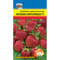 Клубника Наташка-Вкусняшка Урожай у дачи Ц