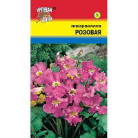 Инкарвиллея Розовая урожай у дачи Ц х10