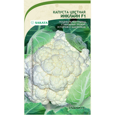 Капуста цветная Инклайн F1 10шт Sakata/Садовита Ц