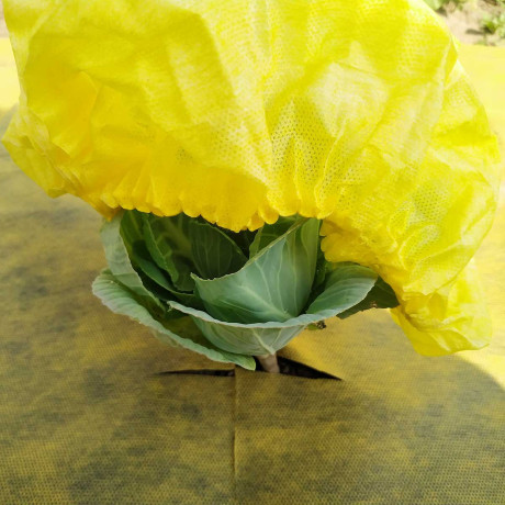 Шапочка для капусты Агротекс 5 шт в упаковке