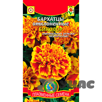 Бархатцы Биколор Плазма Ц