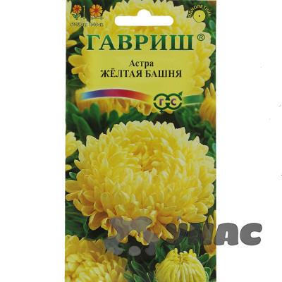Астра Желтая башня Гавриш Ц