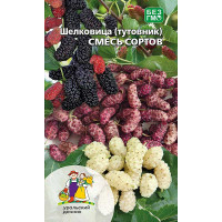 Шелковица (тутовник) Розовая Марс Ц