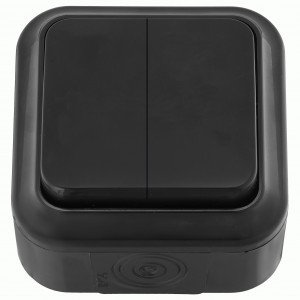 Bylectrica ПРАЛЕСКА АКВА выкл. ОУ 2 кл. 6А черный., пластик, IP54 (А56-224 черный)