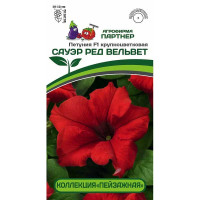 Петуния Сауэр Ред Вельвет