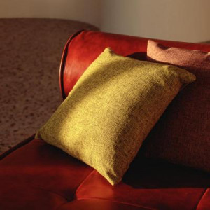 PROVANCE Чехол декоративный на подушку, 40х40см, 100% полиэстер, &quot;Акцент&quot;,  зеленый