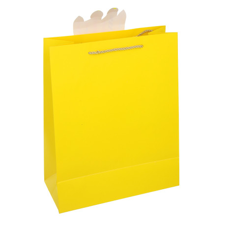 Пакет подарочный, тм Fntastic, аппликация, L 32x26x12см, бумага, 4 дизайна