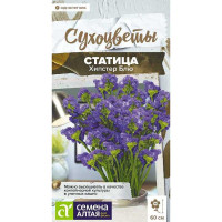 Статица Хипстер Блю СемАлт Ц