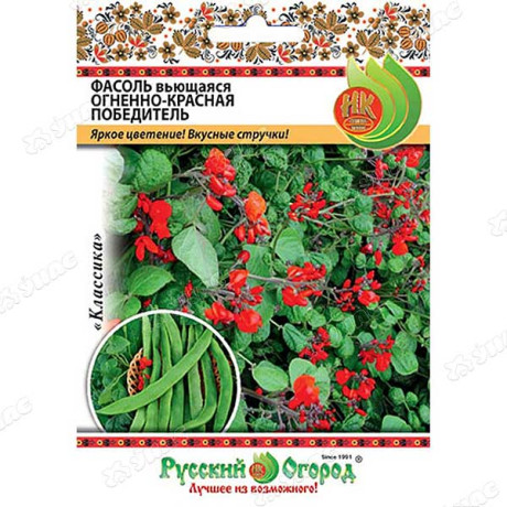 Фасоль Победитель огненно-красная 30гр НК Ц