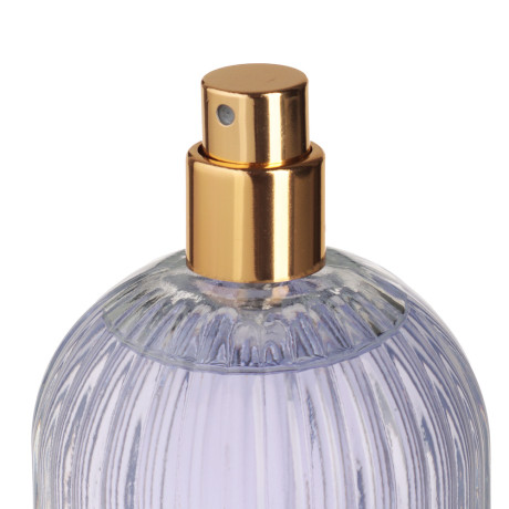 NEW GALAXY Парфюмерная вода женская Eclat de Soleil, 100 мл