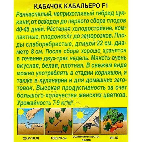 Кабачок Кабальеро цуккини Аэлита Ц