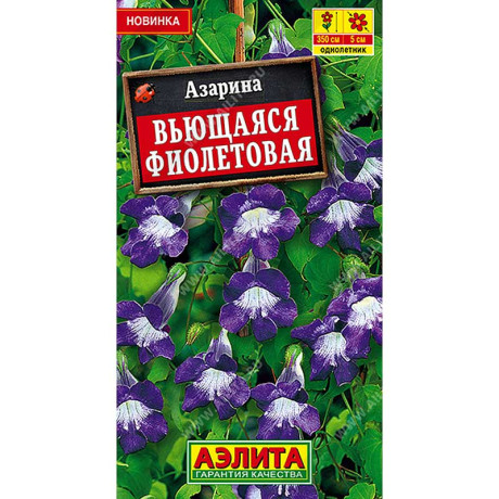 Азарина вьющаяся фиолетовая Аэлита Цх10