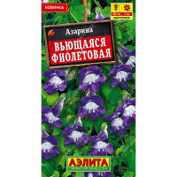 Азарина вьющаяся фиолетовая Аэлита Цх10