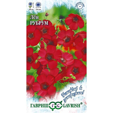 Лен Рубрум Гавриш Ц
