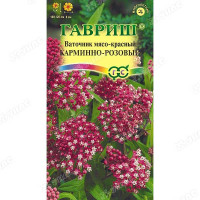 Ваточник Карминно-розовый Гавриш Ц