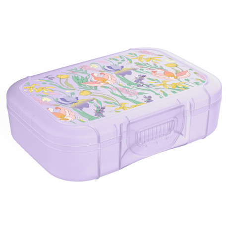 Ботаника Ланч-бокс 0,85л (18х12,5х5,5см), пластик, 3 цвета