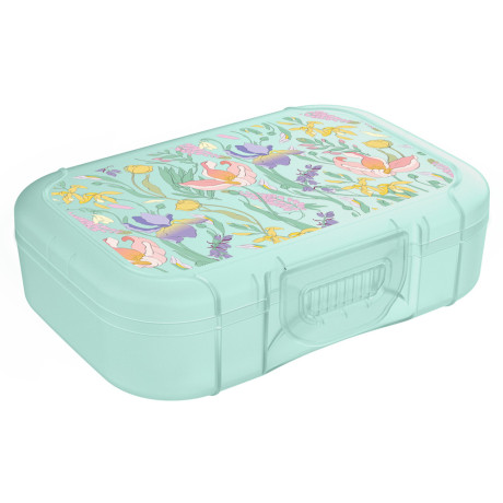 Ботаника Ланч-бокс 0,85л (18х12,5х5,5см), пластик, 3 цвета