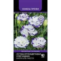 Семена Эустома Супер Мэджик Капри Блю Пикоти Поиск Ц