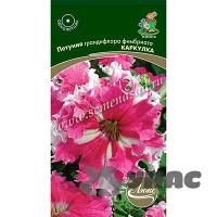 Петуния Каркулка фимбриата Поиск Ц
