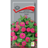 Циния Румба Розовая Поиск Ц