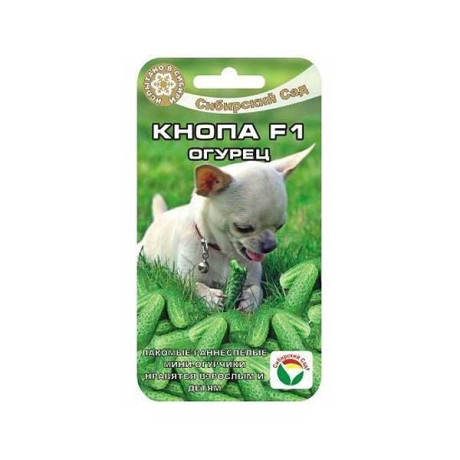 Огурец Кнопа СибСад Ц
