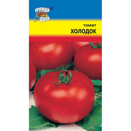 Семена Томат Холодок Урожай у дачи