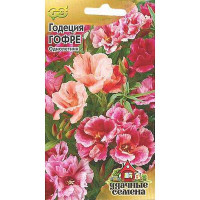 Годеция Гофре Удач сем Гавриш Ц