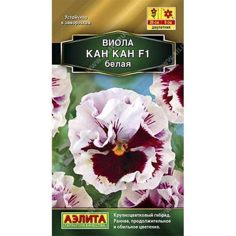 Виола Кан-кан белая Аэлита Ц