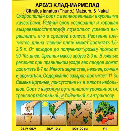 Арбуз Клад-мармелад Аэлита