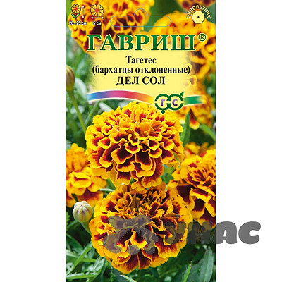 Бархатцы Дел Сол  Гавриш Ц