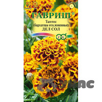 Бархатцы Дел Сол  Гавриш Ц