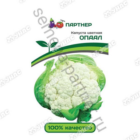 Капуста цв. Опаал Партнер Ц