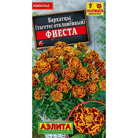 Бархатцы Фиеста Аэлита Ц