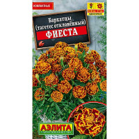 Бархатцы Фиеста Аэлита Ц