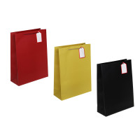 Пакет тм Fntastic подарочный, с шильдиком, XXL 40x30x12см, бумага, арт.13, 3 дизайна