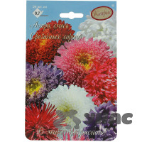 К Астра Смесь Срезочных сортов (Сказка) Каприс
