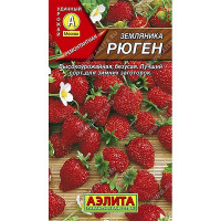 Земляника Рюген Аэлита Ц