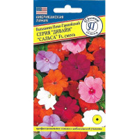 Бальзамин Дивайн Салса см. ново-гвин. Престиж Ц