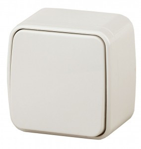 ЭРА Intro Polo выкл. ОУ 1 кл. 10А, сл.кость 3-101-02, 3610 (замена на 814802)