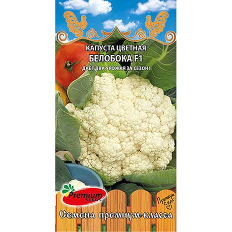 Капуста цветная Белобока F1 Премиум Сидс Ц