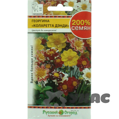 Георгин Коларетта Денди смесь НК Ц