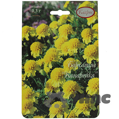 К Бархатцы Канарейка (Германия) Каприс