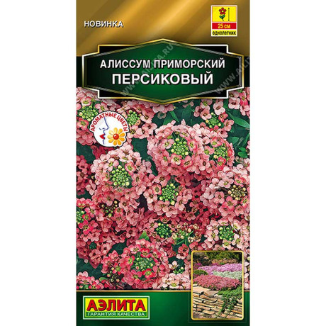 Алиссум приморский Персиковый Аэлита Цх10