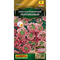 Алиссум приморский Персиковый Аэлита Цх10