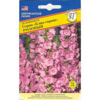 Дельфиниум Клиа спринг Розовый Престиж Ц