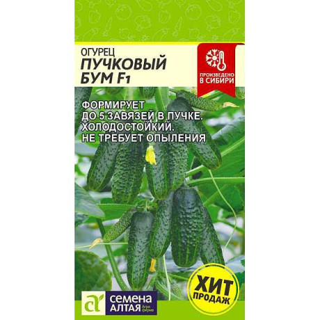 Огурец Пучковый Бум СемАлт Ц