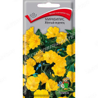 Мирабилис Желтый леденец Поиск Ц