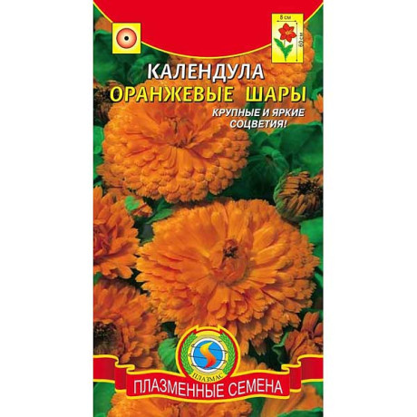 Календула Оранжевые шары Плазма Ц